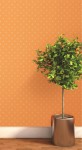 Giấy dán tường màu cam