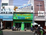 giay-dan-tuong