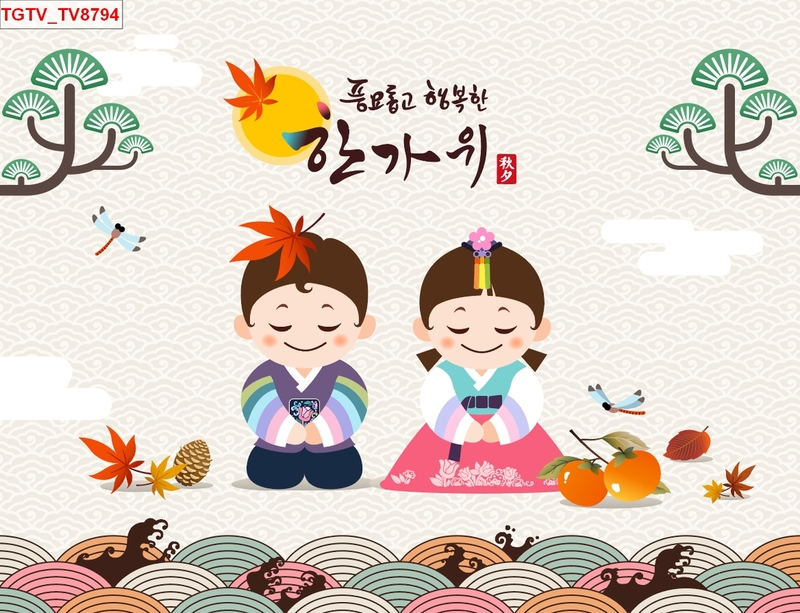 Mẫu dán tường giới thiệu văn hóa Hàn Quốc