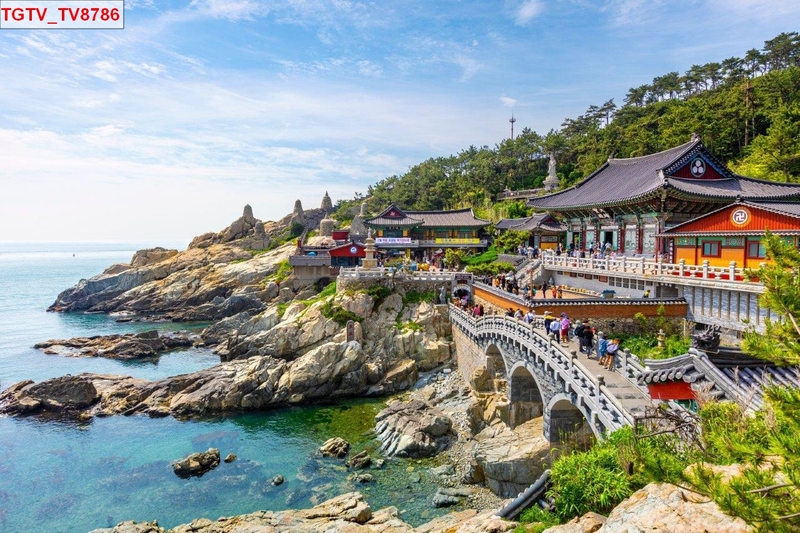 Tranh dán tường một góc ven biển Hàn Quốc