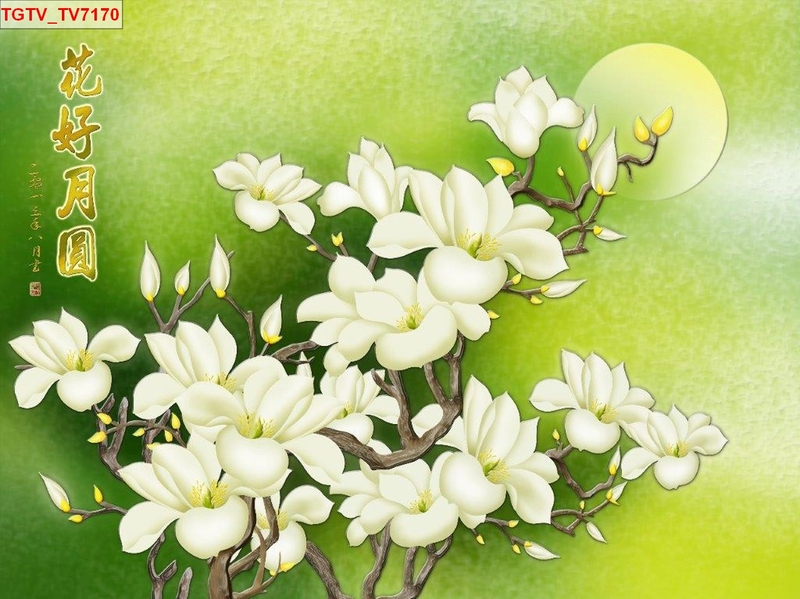 Giấy dán tường bông hoa