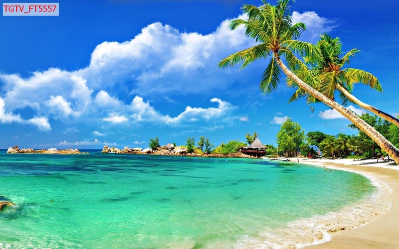 Tranh dán tường biển hồ