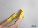 How-to-Clean-Walls