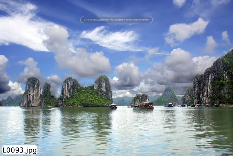 Tranh dán tường L0093