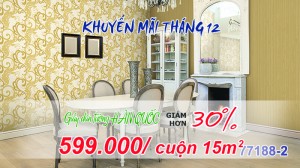banner-giay-dan-tuong-12-2016-nho